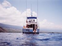 Big Island Tours Big Island Tours