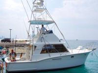 Bite Me Sport Fishing Bite Me Sport Fishing