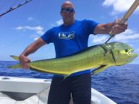 Big Island Tours Big Island Tours