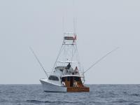  big island sportfishing