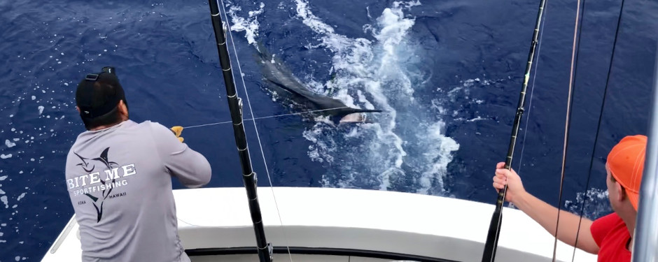 Bite Me Sportfishing Bite Me 3 