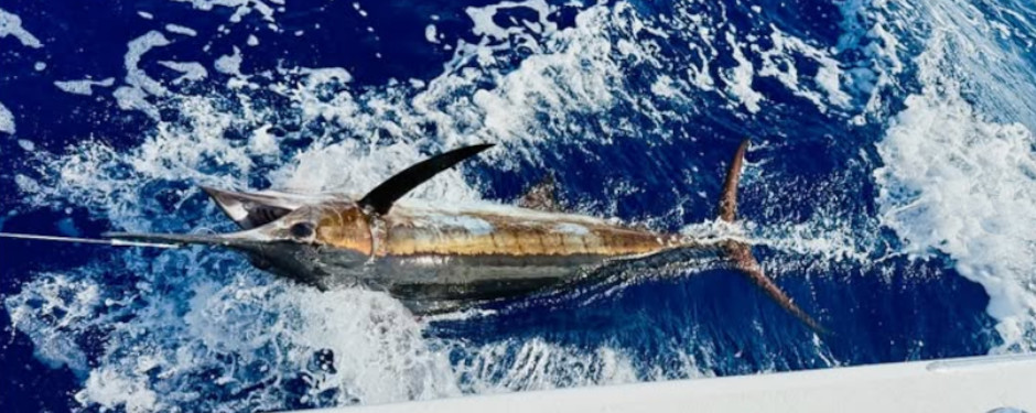 Phantom Sportfishing - Kona Fishing Charter
